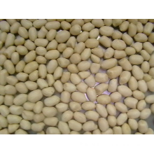 New Crop Top Quality Blanched Kernal Peanut